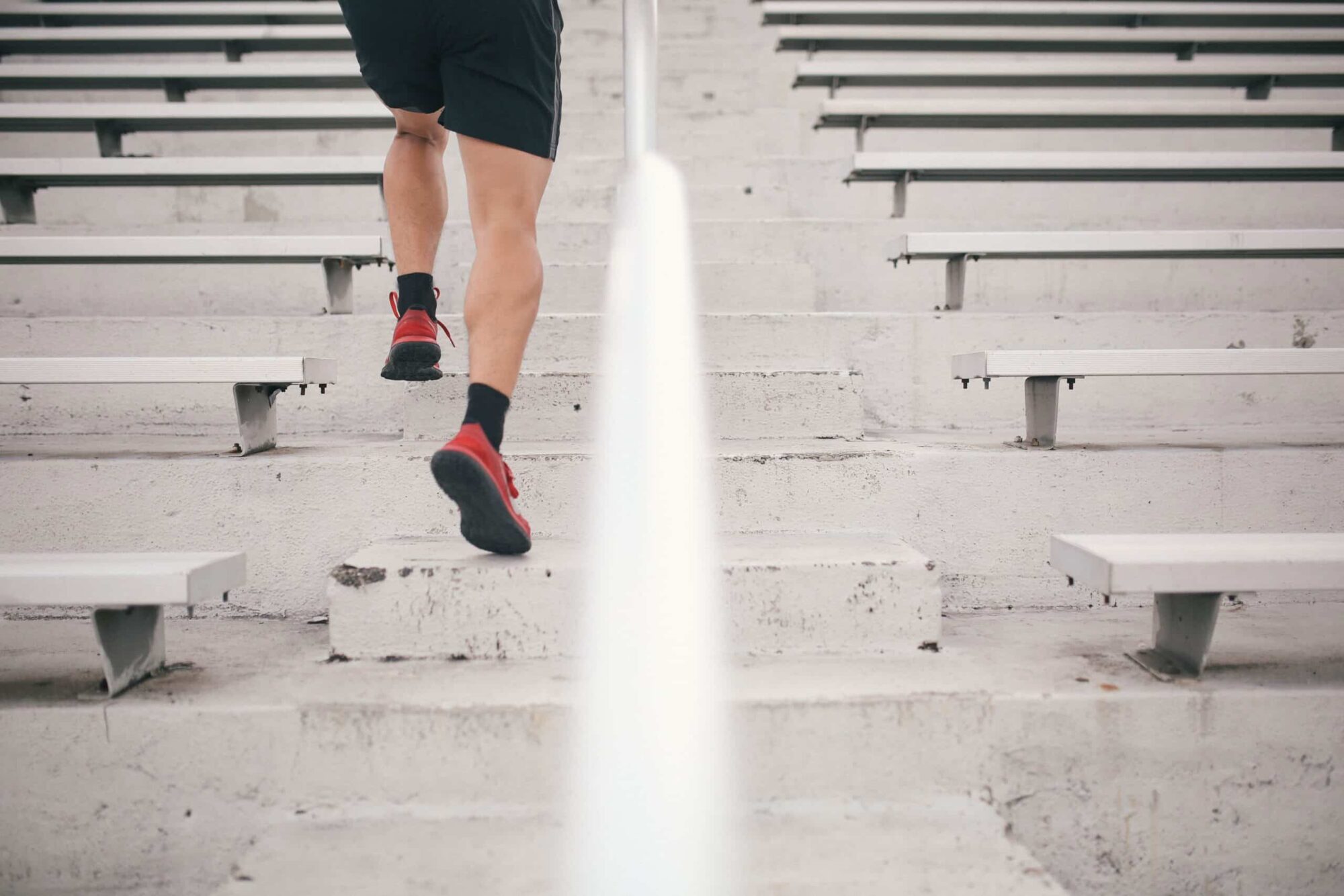 Tampa therapist, tampa counselor, benefits of exercise, exercise and mental health, carrollwood counselor, counseling carrollwood, therapy in carrollwood, carrollwood therapy