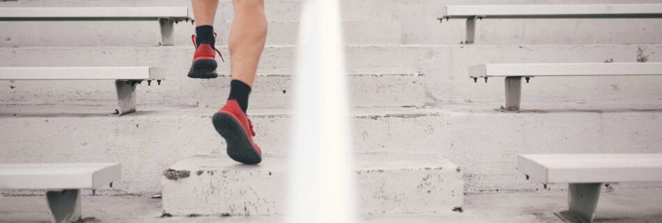 Tampa therapist, tampa counselor, benefits of exercise, exercise and mental health, carrollwood counselor, counseling carrollwood, therapy in carrollwood, carrollwood therapy
