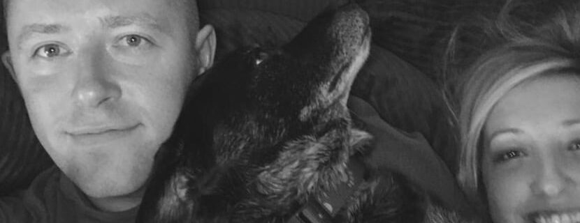 grief, pet loss, losing pet, grief counseling, stages of grief