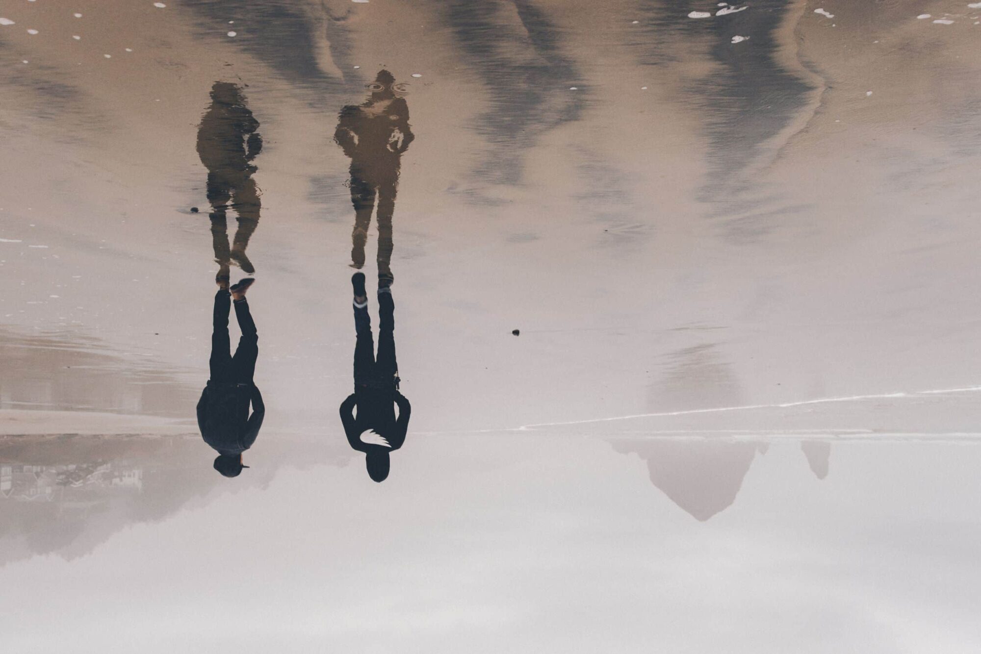 grief counseling, tampa grief counseling, carrollwood grief counseling, therapist tampa, therapist carrollwood, counselor tampa, counseling carrollwood