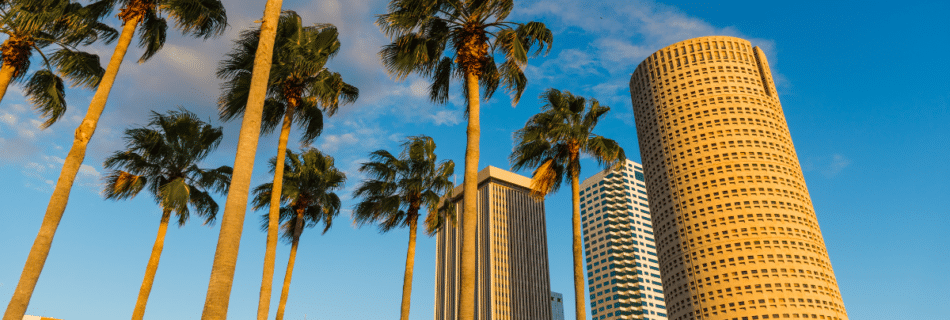 Things to Do in Tampa Bay for Your Mental Health