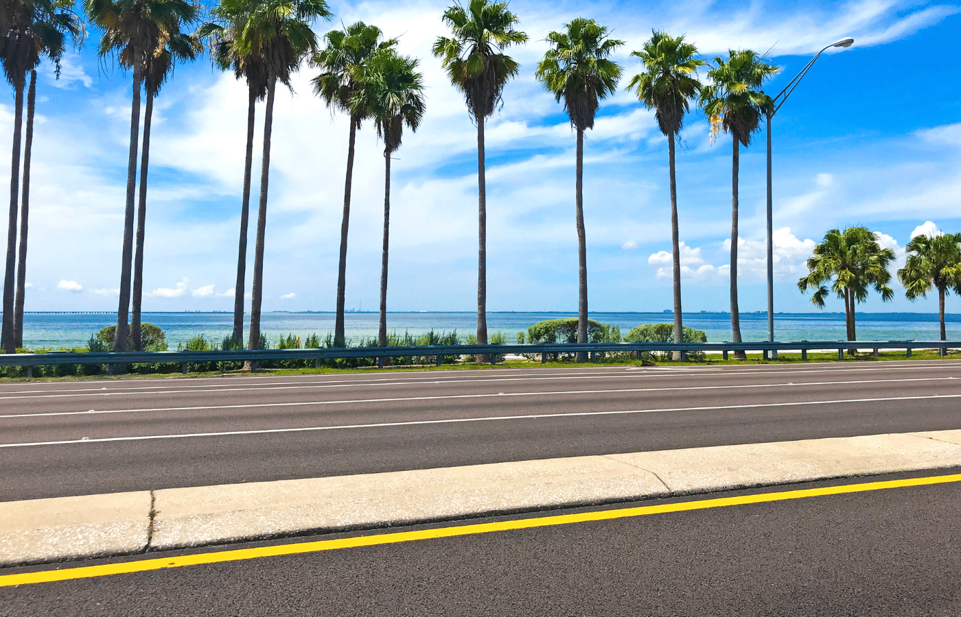 Palm trees swaying under a bright blue sky in Tampa, Florida